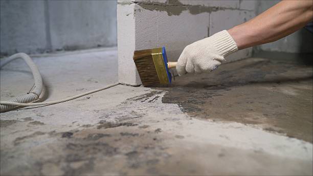 Top rated local Interior Drainage System specialists in California, PA
